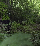 LMG-Survivalist078.jpg