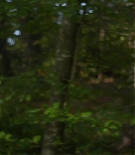 LMG-Survivalist101.jpg